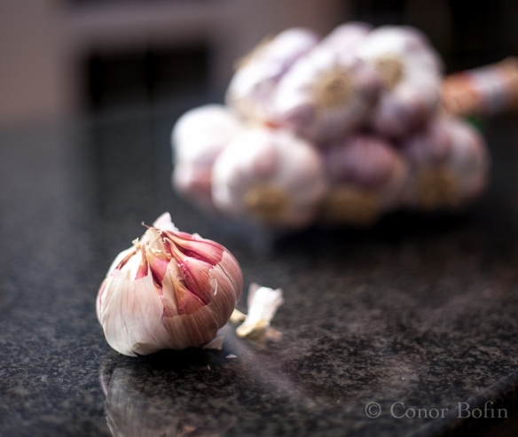 Garlic from Lautrec