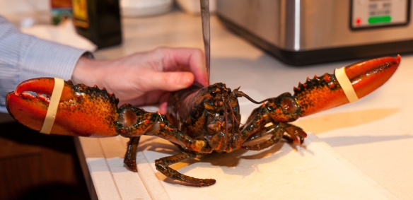 Believe it or not, this is meant to be one of the most humane ways of dispatching a lobster.