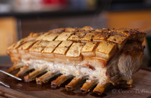 Pork Loin with Onion and Apricot (1 of 1)