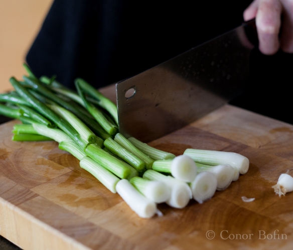 This shot is only to show you the lovely green of the fresh spring onions.