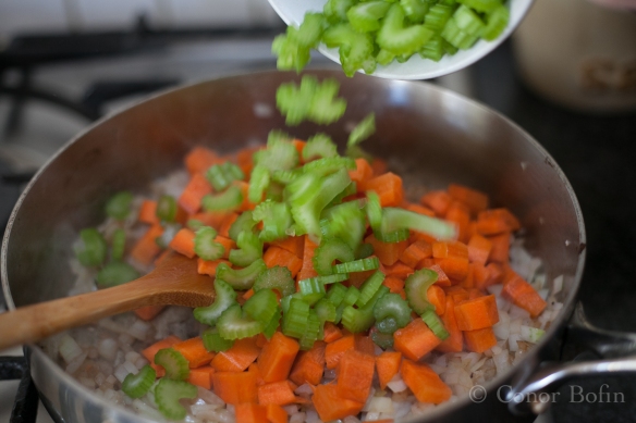 The holy trinity of beautiful stew. Onion, carrot and celery.