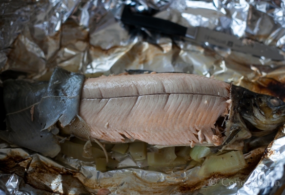 This is what a perfectly cooked trout from the West of Ireland looks like.