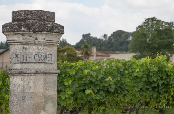 Do old gateposts mean a good wine? 