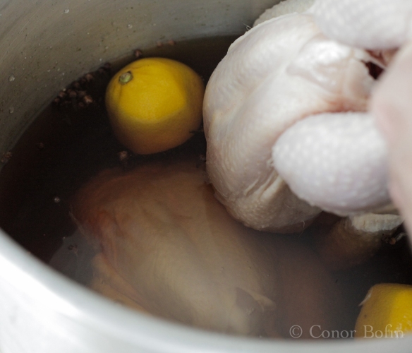 The chickens get to spend 24 hours absorbing the whiskey, cloves, lemon and sugar flavours.