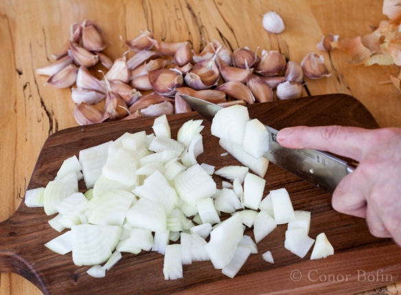 Chicken wiht 40 cloves of garlic (1 of 1)-2